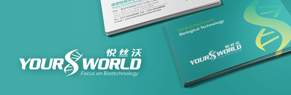 KݏV湫˾Kݹ˾logoOӋKIOӋKݮaƷOӋKݮaƷbOӋKݏVOӋ